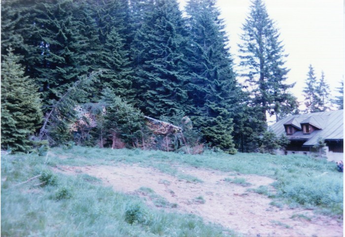 Zamaskirana gazela po pristanku nad hotelom Golte dne 28. junija 1991 (Foto: Franc Kačičnik)